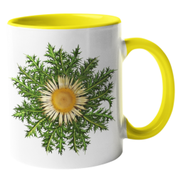 Taza Eguzkilore amarilla