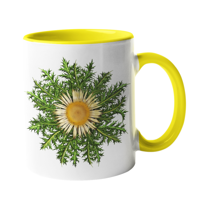 Taza Eguzkilore amarilla