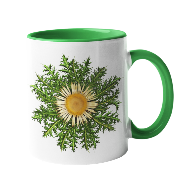 Taza Eguzkilore verde